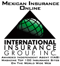 International Insurance Group, INC.